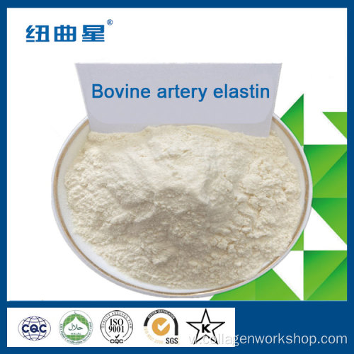 Peptide protein elastin của động mạch bò và ngựa